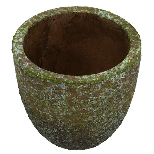 Floristik24 Planter mosegrå, grønn Ø14cm H14cm 2stk