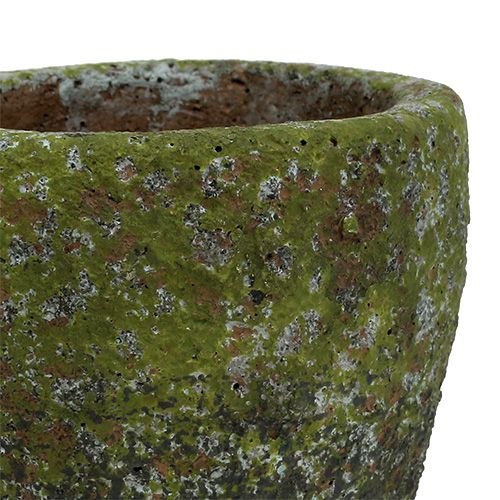 Floristik24 Planter med mose Ø10cm H10,5cm 4stk