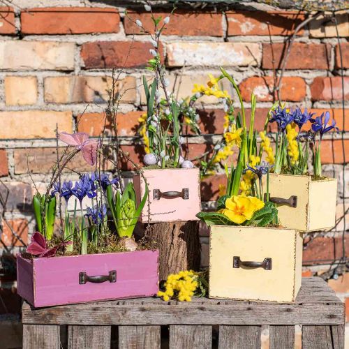 Floristik24 Plantekasseskuff tre deco lilla 25×13×9cm