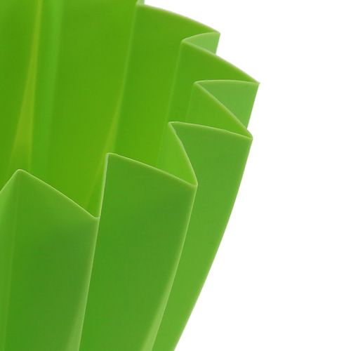 Floristik24 Potte Adonis Grønn 14cm 20 stk