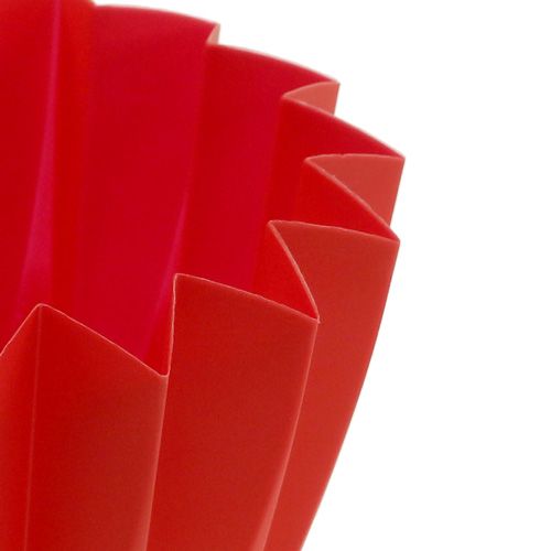 Floristik24 Potte Adonis Rød 11cm 20 stk