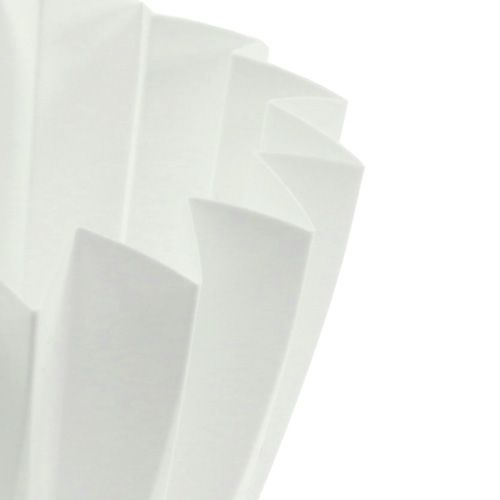 Floristik24 Potte Adonis hvit 14cm 20 stk