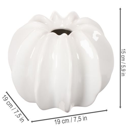 Gresskarpyntvase, blank, høstdekorasjon til stue, 19 cm | Floristik24.no