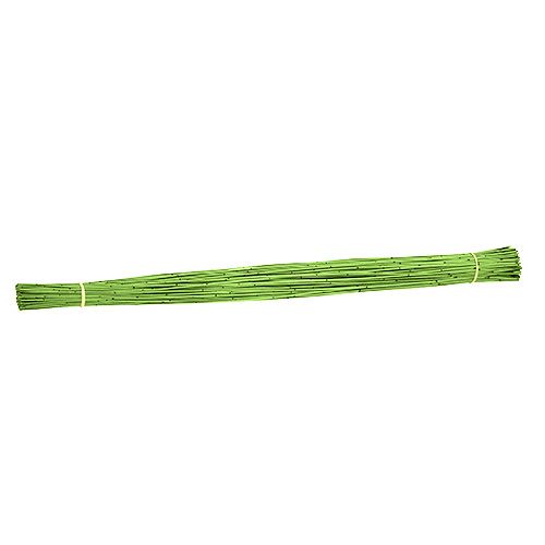 Floristik24 Vlei Reed 400g lysegrønn