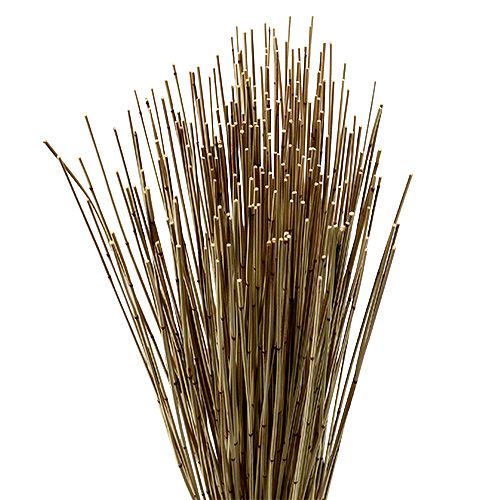 Floristik24 Vlei Reed 400g naturlig