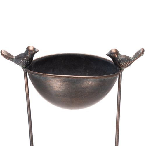 Floristik24 Dekorativt fuglebad, blomsterskål med espalier, nostalgisk utseende, stilig hagetilbehør, 75 cm