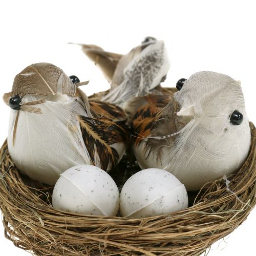 Floristik24 Fuglerede med egg og fugl 6stk