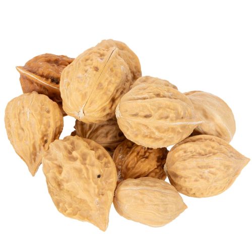 Valnøtter til pynt, naturprodukt, 3-4 cm, 300 g kjøpe | Floristik24.no