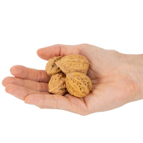 Valnøtter, et naturprodukt for borddekorasjon og gjør-det-selv-prosjekter. Naturlige valnøtter, 4-5 cm, 300 g. | Floristik24.no