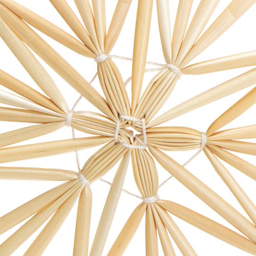 Floristik24 Julehalmstjerner juletrepynt 8 cm 12 stk