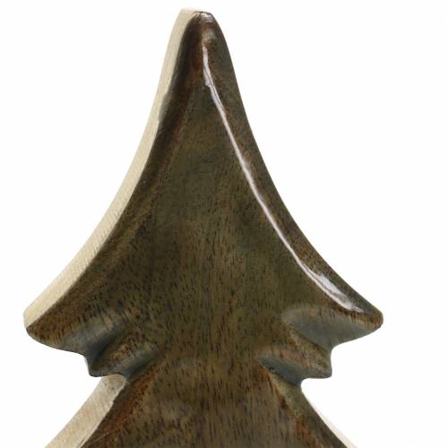 Floristik24 Tregranglasert naturlig, hvit mangotre H29cm