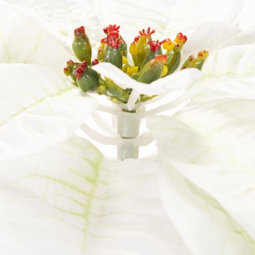 Kunstig hvit julestjerne, stor blomstrende grendekorasjon, 65 cm, 2 stk. | Floristik24.no