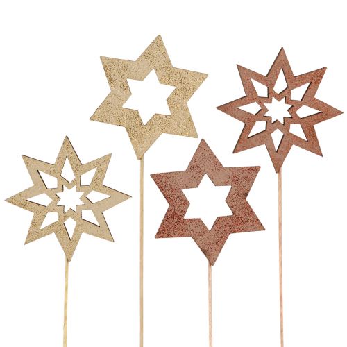 Floristik24 Julestjerne blomsterplugger bronse gull Ø5,5cm 18 stk