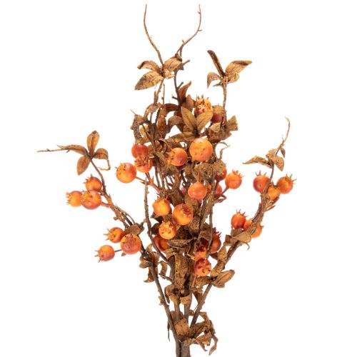 Kunstig hagtorngren, høstdekorasjon, 75 cm | Floristik24.no
