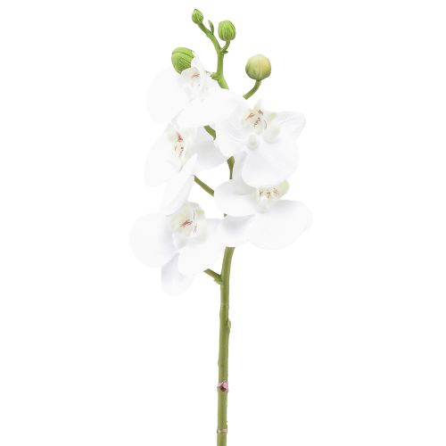 Floristik24 Hvit kunstig orkidé Phalaenopsis Real Touch 32cm