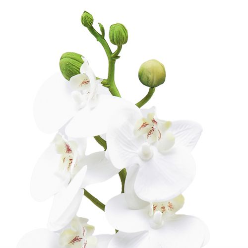 gjenstander Hvit kunstig orkidé Phalaenopsis Real Touch 32cm