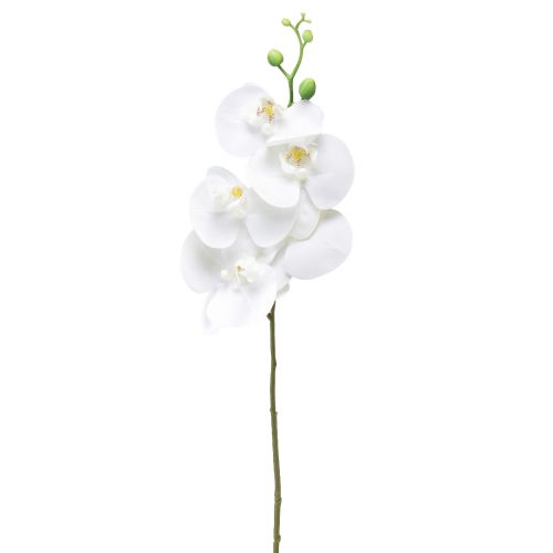 Floristik24 Hvit kunstig orkidé Phalaenopsis Real Touch 85cm