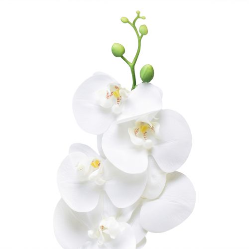 gjenstander Hvit kunstig orkidé Phalaenopsis Real Touch 85cm