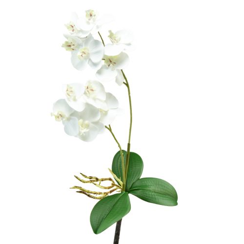 Hvit orkidé på plukke kunstig Phalaenopsis Real Touch 39cm