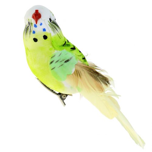 Floristik24 Budgie på klipp grønn 13cm 6stk