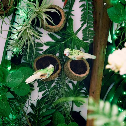 Floristik24 Budgie på klipp grønn 13cm 6stk