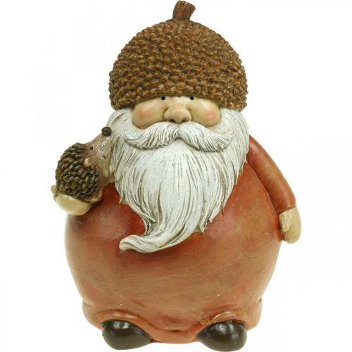 Floristik24 Imp figur med eikenøtt og pinnsvin dekorativ figur høstbrun H19cm