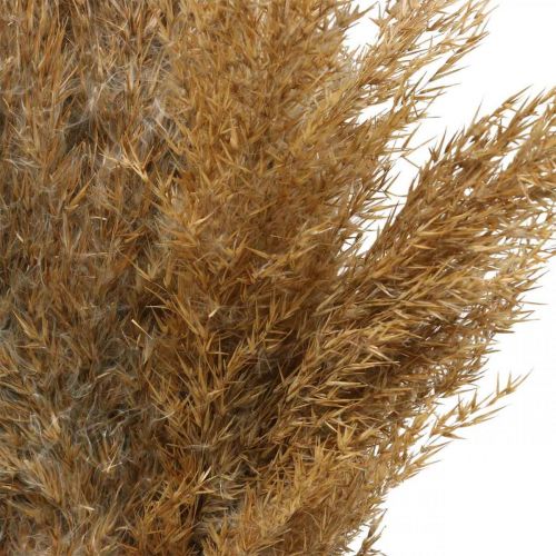 gjenstander Tørr gressharv naturlig tørr dekorasjon 75cm 10p