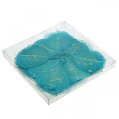 Floristik24 Pilblader, naturlige blader av pil, tørkede blader skjelettisert turkisblå 200 stk.