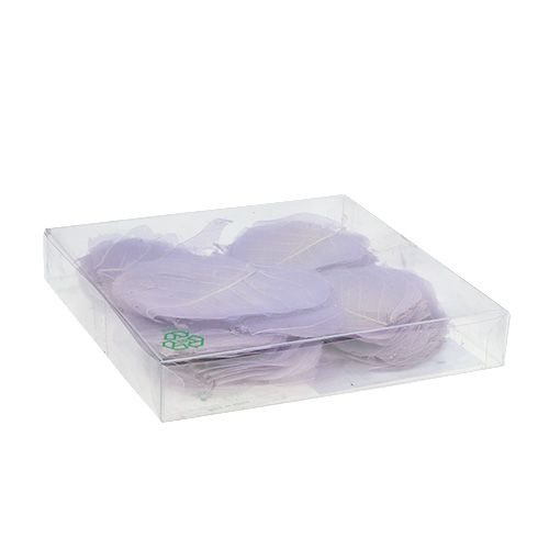 Floristik24 Pilblader skjelettisert lys lilla 200 stk.