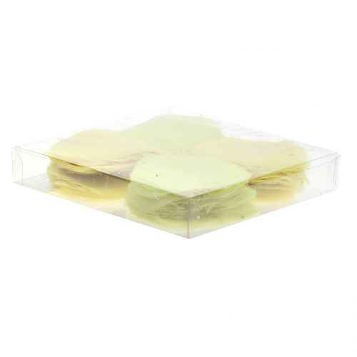 Floristik24 Pilblad skjelettisert gul blanding 200 stk