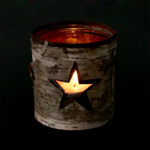 Floristik24 Lyktestjerne med bjørk Ø10,5cm H11cm 1p