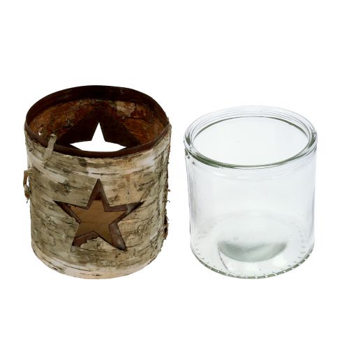 Floristik24 Lyktestjerne med bjørk Ø10,5cm H11cm 1p