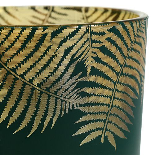 Floristik24 Lykteglassbregne grønn Ø10cm H12,5cm