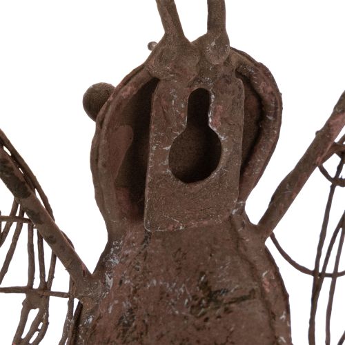 Metalllykt, veggdekorasjon, sommerfugl, rustfinish, 36,5 cm | Floristik24.no