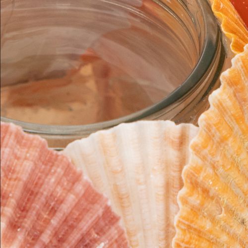 gjenstander Nautisk telysholder, lykt, ekte skjell, dekorasjon til badet, feriestemning, 12 cm