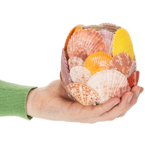 gjenstander Nautisk telysholder, lykt, ekte skjell, dekorasjon til badet, feriestemning, 12 cm