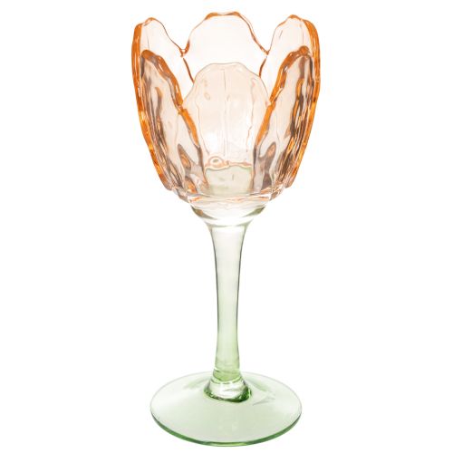 Floristik24 Tulipanformet telysholder i glass, vintage-stil, romantisk hjemmedekorasjon, 20 cm