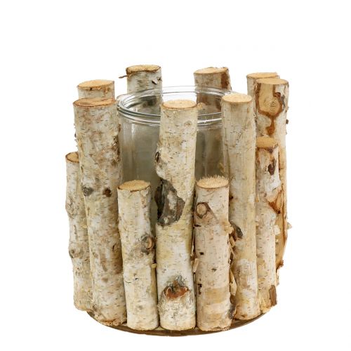 Floristik24 Bjørkelykt Ø17cm H17cm