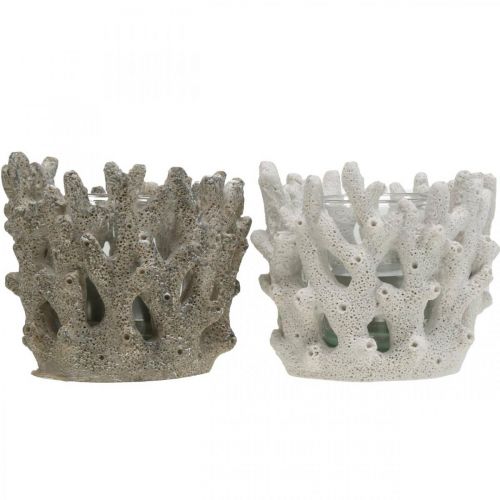 Floristik24 Lykt med glass i koralldesign maritim dekorasjon hvit kunstig Ø9,5cm 2stk