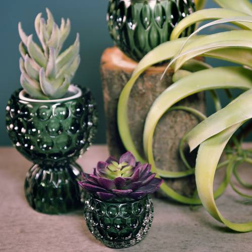 Floristik24 Glasslykt mørkegrønn Ø11,5cm H9cm 1st