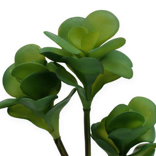 gjenstander Kunstige planter ørkenkål grønn 25cm 3stk