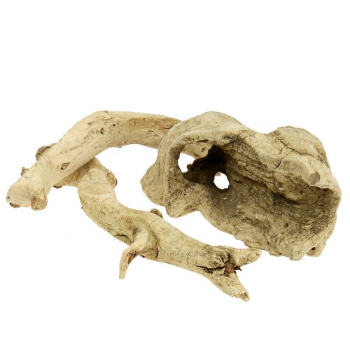 Floristik24 Trebiter blandes bleket 500g