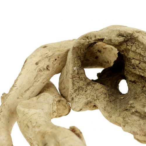 Floristik24 Trebiter blandes bleket 500g