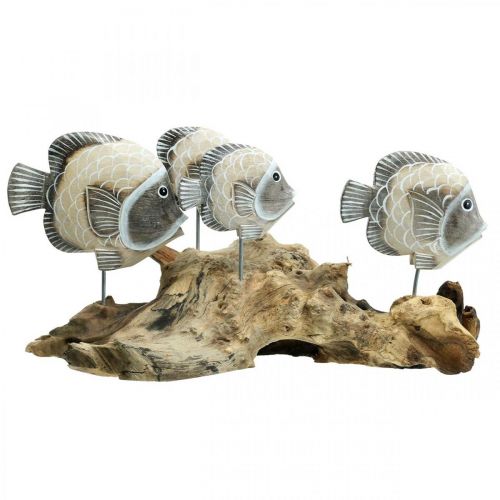 Floristik24 Pyntefisk på rotved Maritime dekorfigurer Brun 38cm