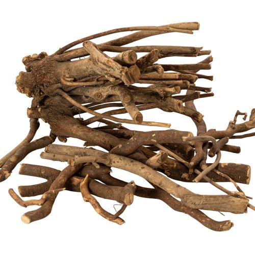 Dekorative tregrener og rotstokker, naturlig tørket, 18 cm, 500 g kjøpe | Floristik24.no