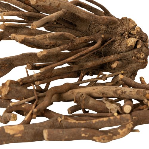 Dekorative tregrener og rotstokker, naturlig tørket, 18 cm, 500 g | Floristik24.no