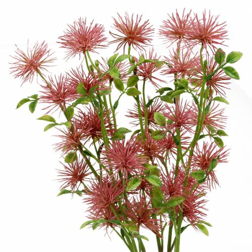 Floristik24 Xanthium silkeblomst mørk rosa 53cm 6stk