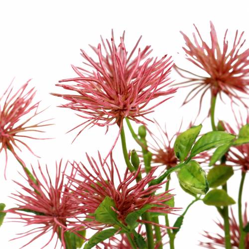 Floristik24 Xanthium silkeblomst mørk rosa 53cm 6stk