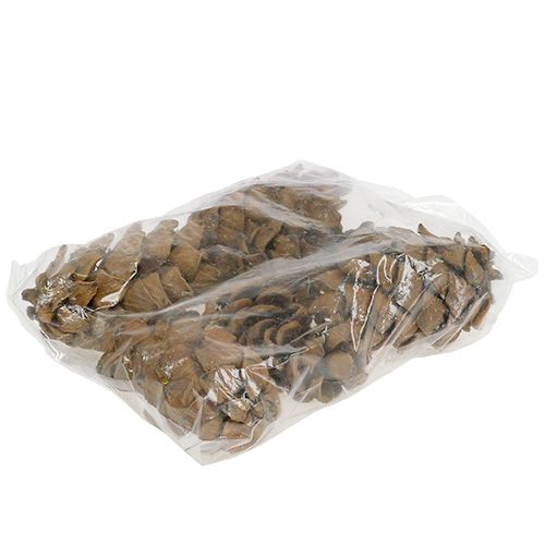 Floristik24 Kjegler natur 9cm - 10cm 6 stk