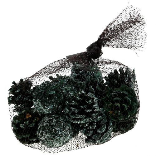 Floristik24 Furutrær grønn iset 200g